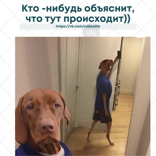 LIFE -  - 5  2021  19:23
