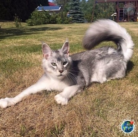 ooe? eoo? aec, o-o  peo oa co aeo.# - 4