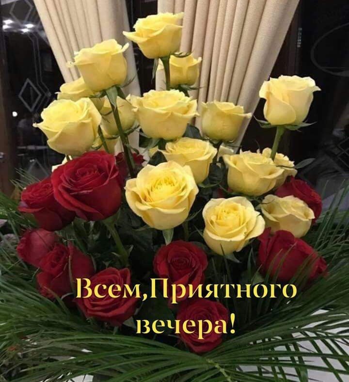   ,    . - 28  2021  18:08