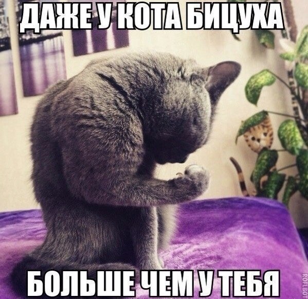    - 13  2021  20:39