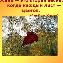  Testardo, , 44  -  11  2020    