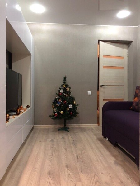 Какие еще могут быть варианты переделки однушки в двушку - 3