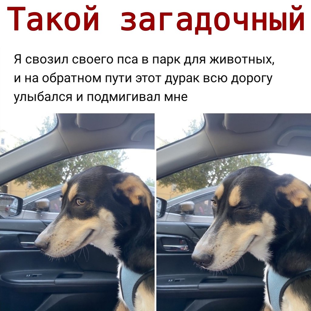 ������ - 23 ������� 2020 � 19:08