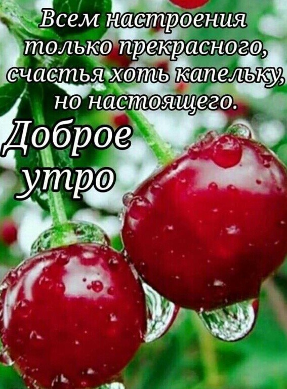   ,    . - 12  2020  23:49 - 2