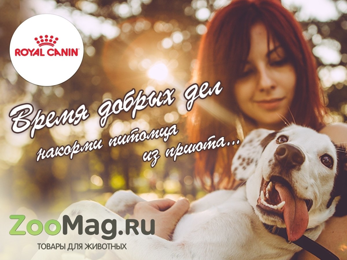 Royal Canin   https://fotostrana.ru/away?to=/sl/Hby2     .    ...