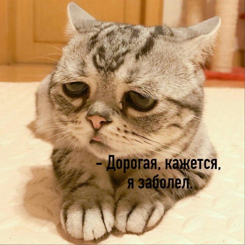       - 2  2020  18:42