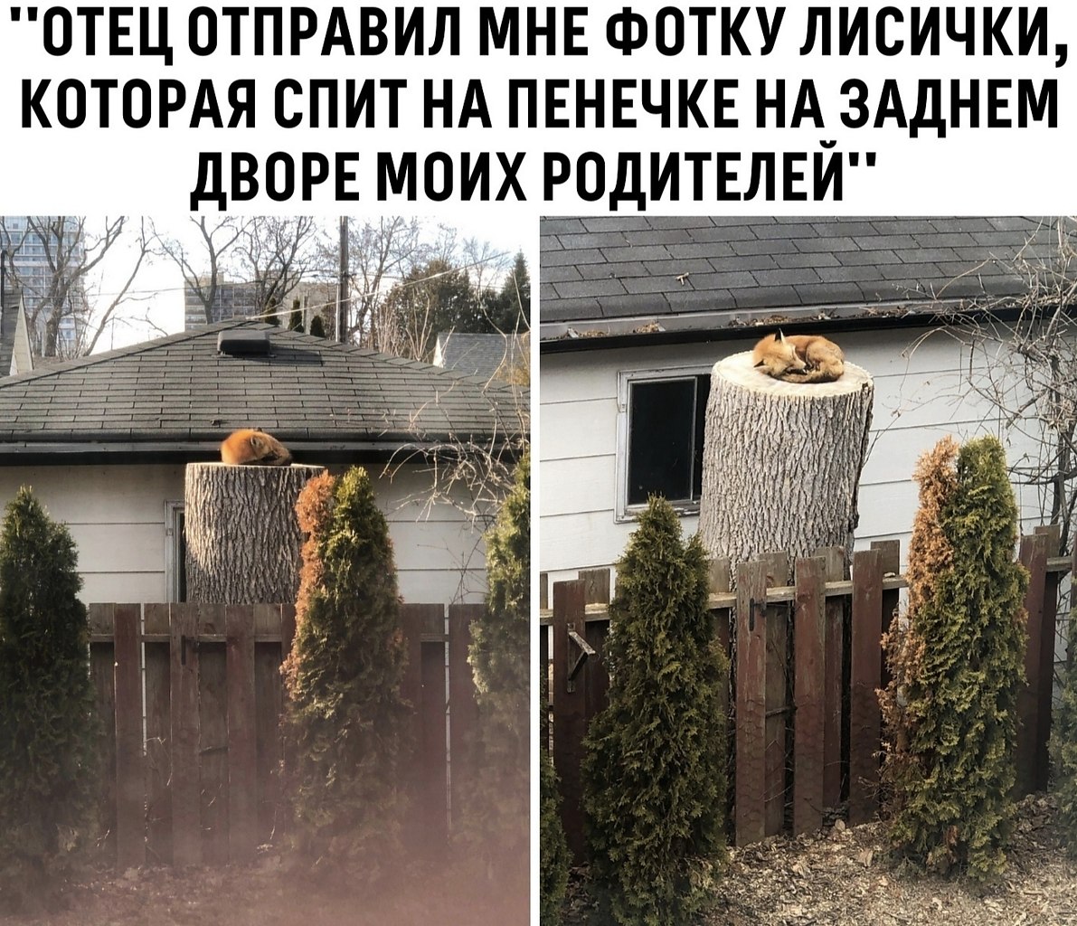  !