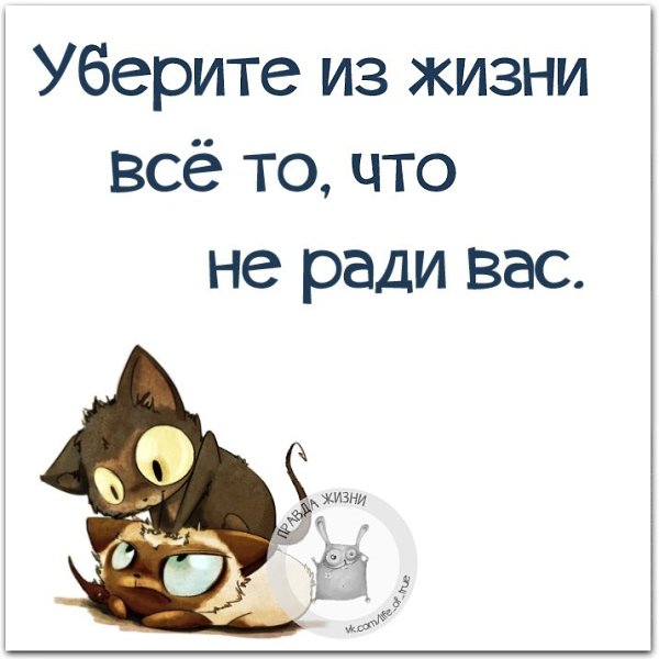   - 15  2021  23:52