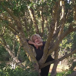 ,Natali, , 55 
