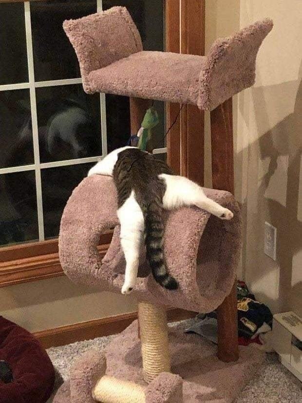 ,   ,    .    . - 2