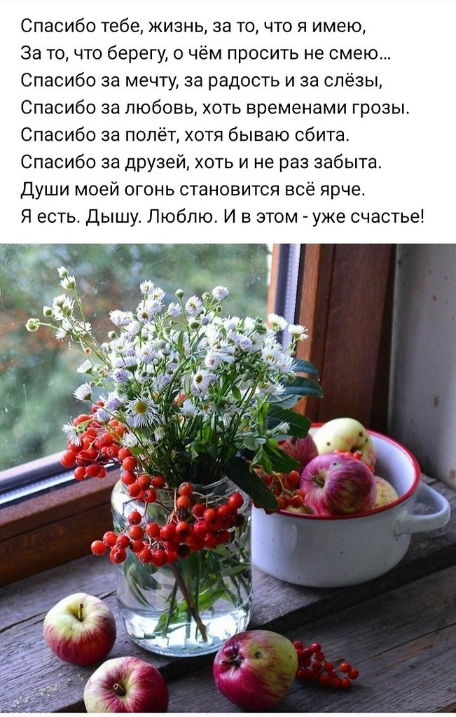   ,    . - 24  2020  22:16
