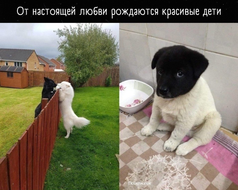 ,      ..