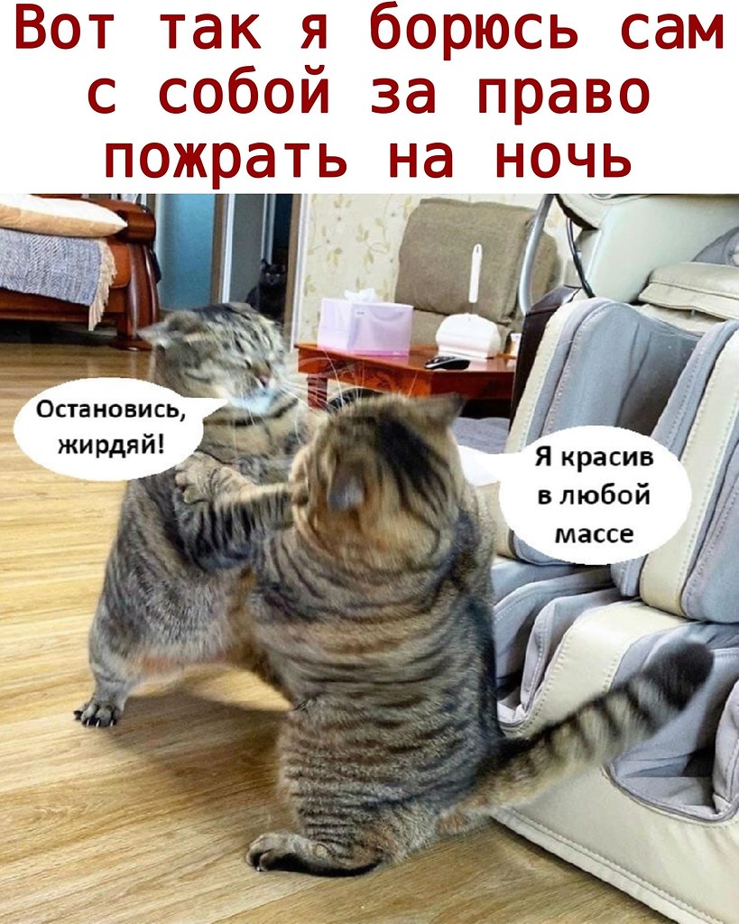  - 29  2020  19:16