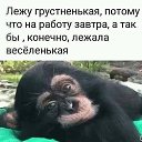 ���� ��������, ��������, 56 ��� - ��������� 19 ������ 2021 � ������ ������ ��������