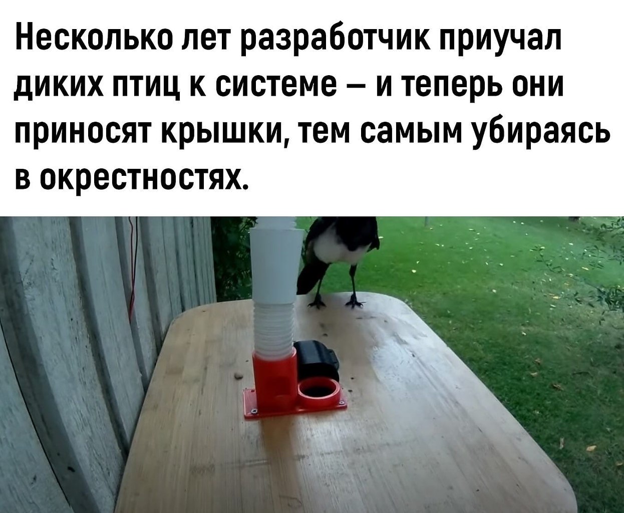 a o  p e!) - 3