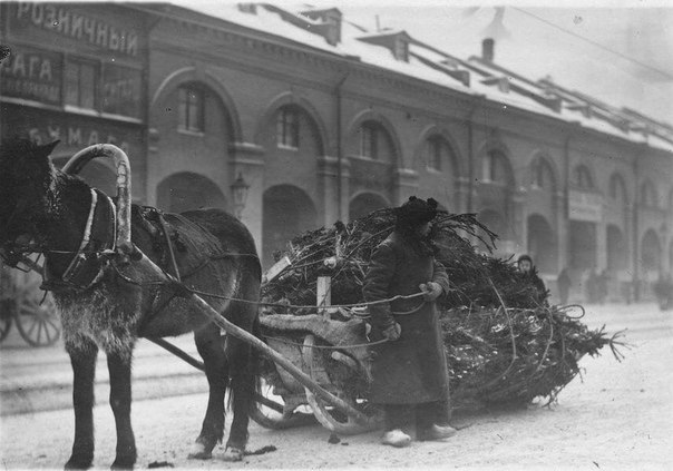      , 1913 .: spbarchives