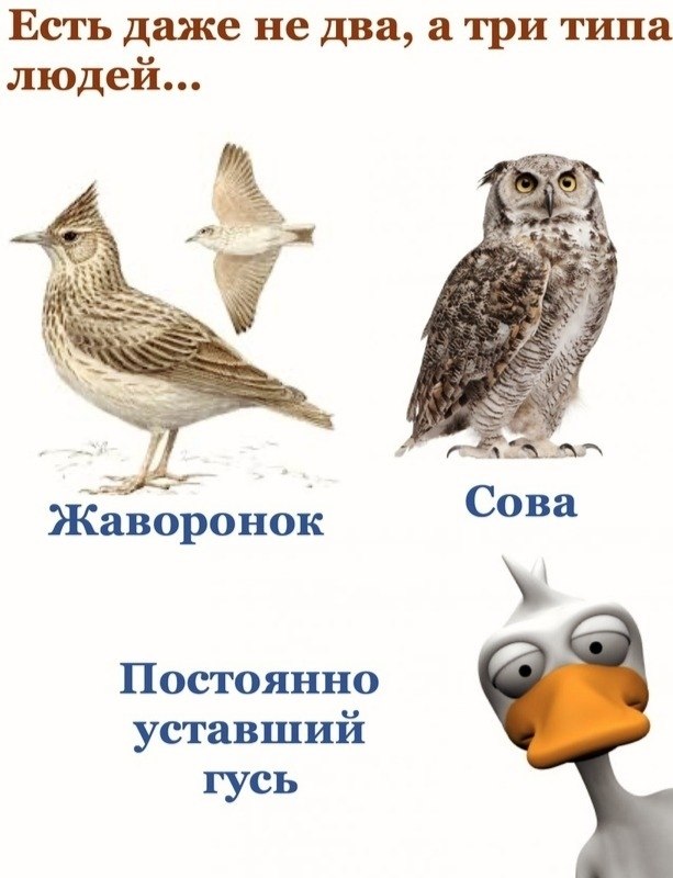  | ,  - 2  2020  19:07