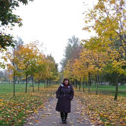 �����, �����-���������, 51 ���