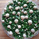 ���� Mariia, ������, 58 ��� - ��������� 17 �������� 2020 � ������ ���� ����������