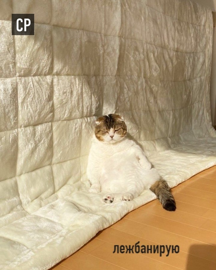   ,     : - 3