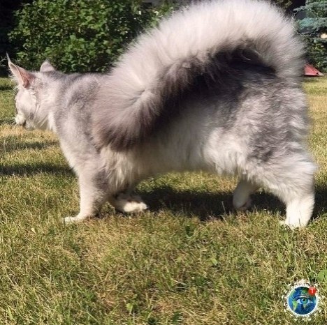 ooe? eoo? aec, o-o  peo oa co aeo.# - 5