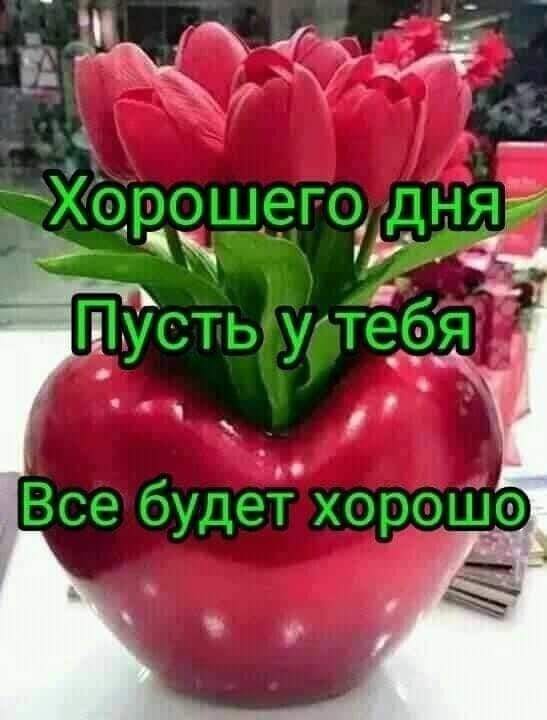  ,    . - 1  2020  14:12