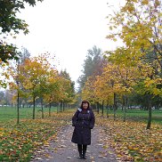 , 51 , -