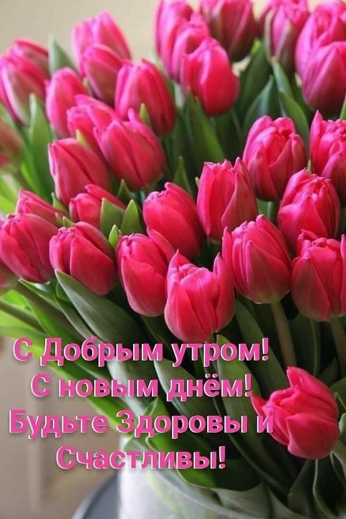   ,    . - 26  2021  08:11 - 8