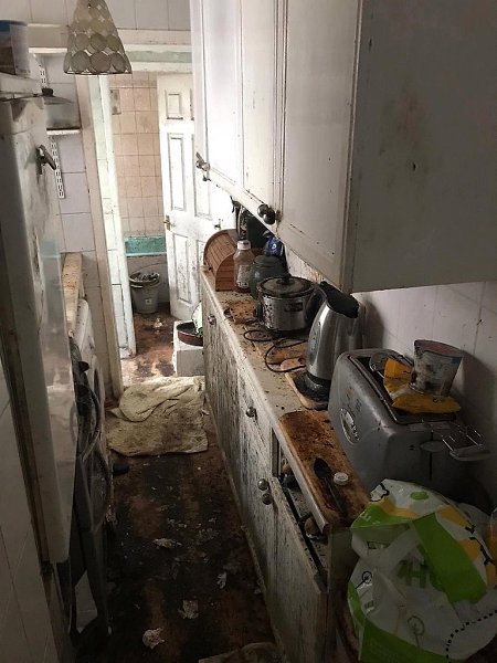 Клининг показал фотографии запущенного дома до и после того, как 6 работников убиpались там почти 50 ... - 3