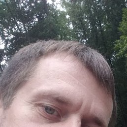 �������, ��������, 46 ���