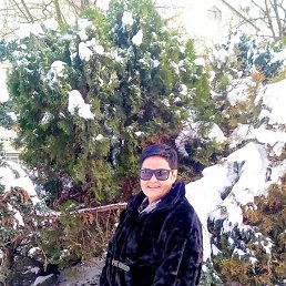 , 54, -
