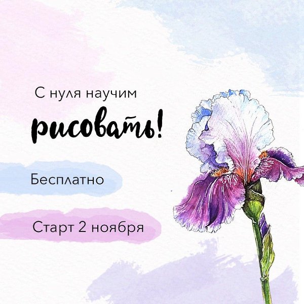 Бесплатный курс по рисованию стартует 2 ноября! На курсе вы легко научитесь рисовать красивые ...