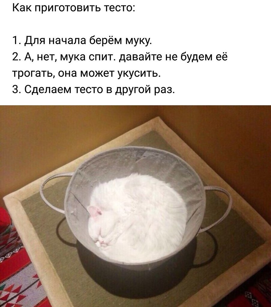   ,  ...