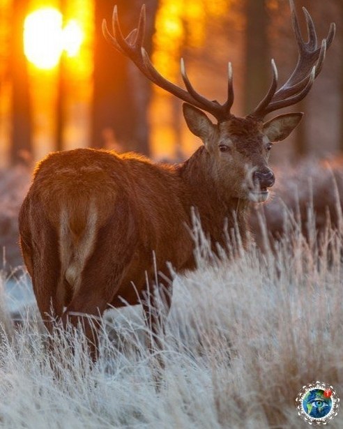 �a�a�o��a� ���a� �p�po�a.������� - 2