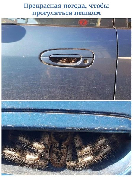 + 1 ����� � ������