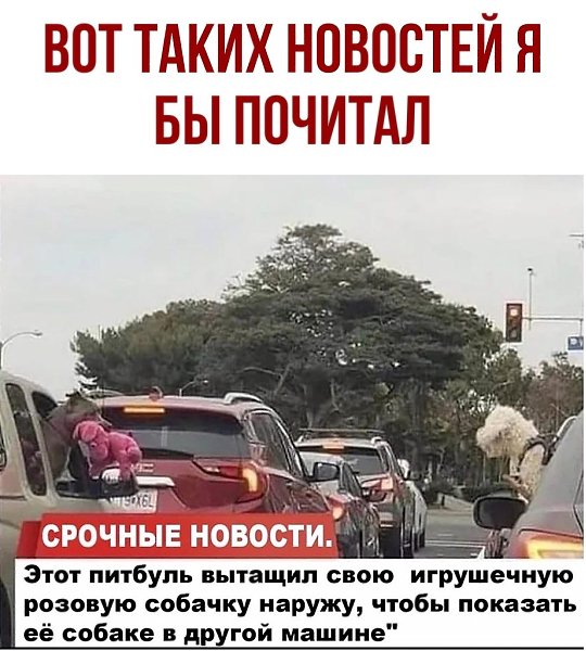 ������ - 15 ������� 2020 � 18:41