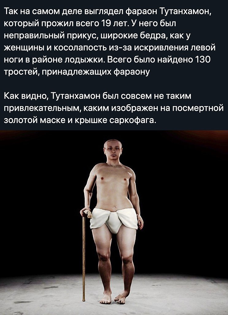 BEST | , ,  - 27  2020  19:07