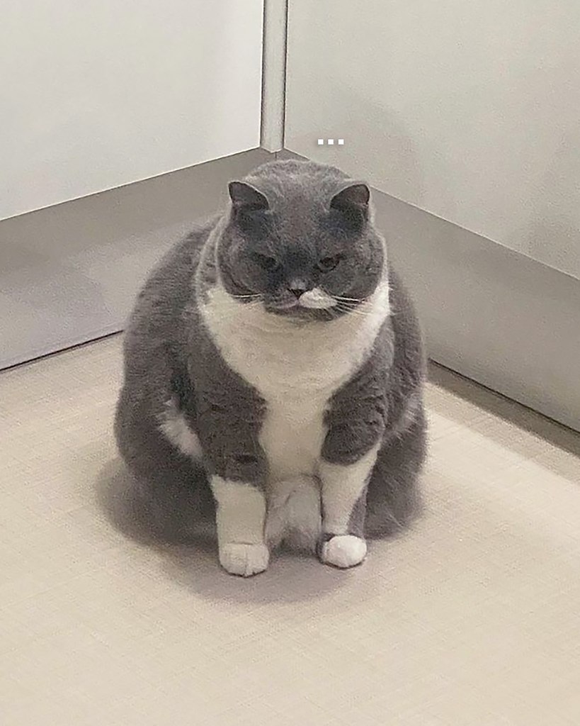    - 5