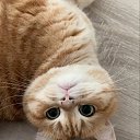 ���� ������, ������� �������� - ��������� 4 ������� 2021 � ������ ���� ����������