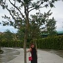 ���� ��������, �������������, 50 ��� - ��������� 31 ������� 2020 � ������ ���� ����������