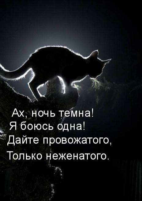   ,    . - 11  2021  22:41 - 5
