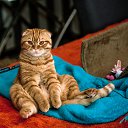 ���� ������, ������ - ��������� 29 ������� 2020 � ������ �������