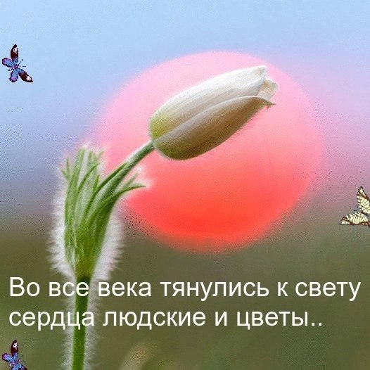   ,    . - 7  2020  22:44 - 5