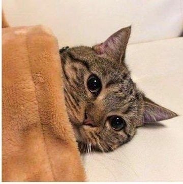- T ,   -   p ? - , ...  c! - 2