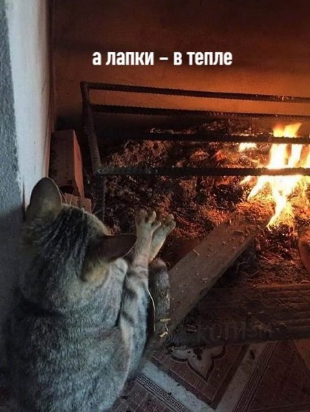     - 2