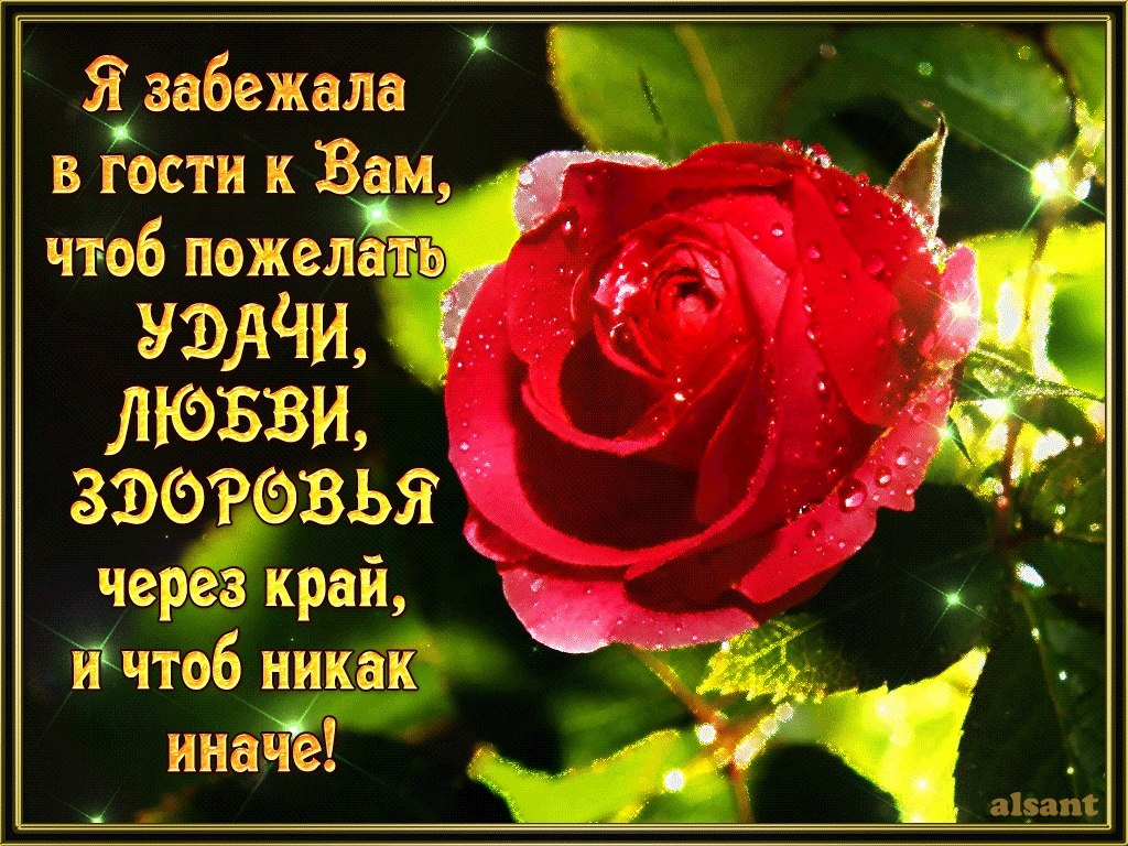   ,    . - 16  2020  21:24 - 5
