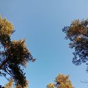 ���� �����, �����, 61 ��� - ��������� 17 ������� 2021 � ������ ���� ����������
