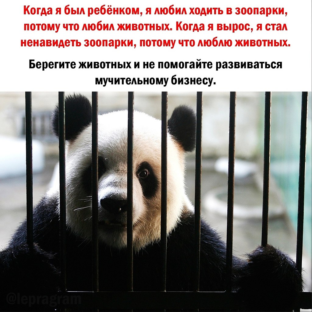 BEST | , ,  - 9  2020  21:14
