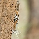 ���� ����, ����, 42 ���� - ��������� 29 ������� 2020 � ������ ���� ����������