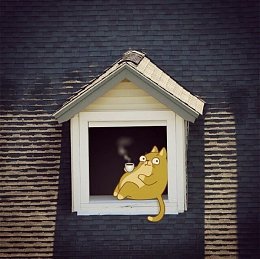 �����������